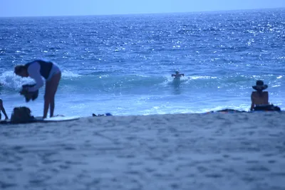 DSC_5013 (Large).JPG